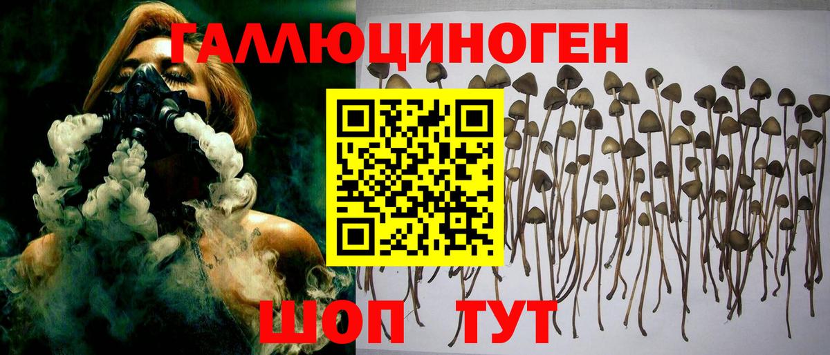 Галлюциногенные грибы прущие грибы  Вход с VPN  цена наркотик  Алейск 