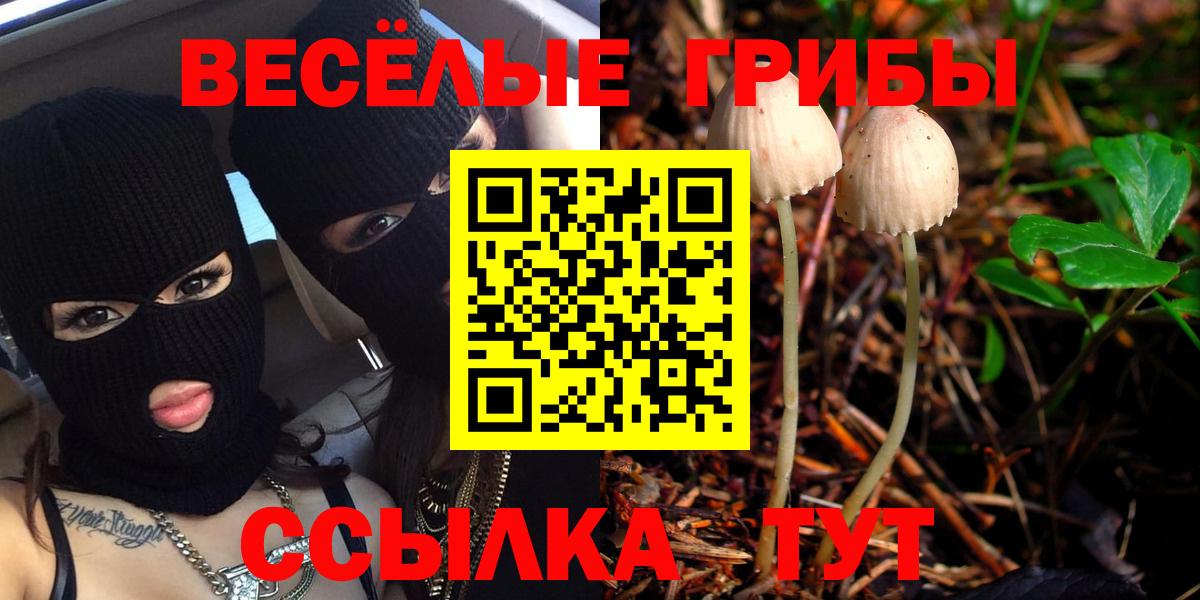 Псилоцибиновые грибы прущие грибы Алейск